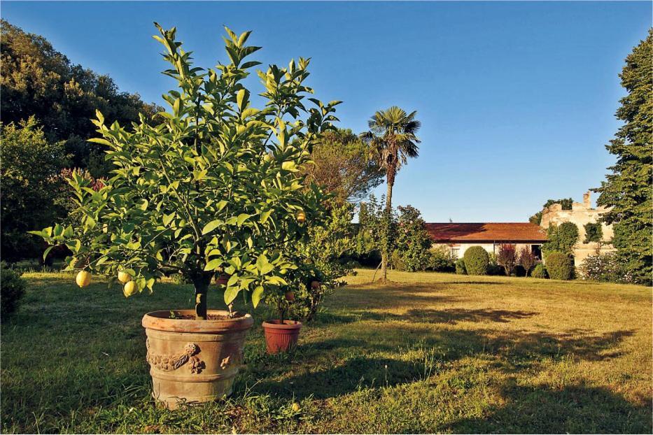 Fattoria Agriturismo Bigongiari Lucca Exteriér fotografie
